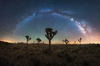 Michael Shainblum