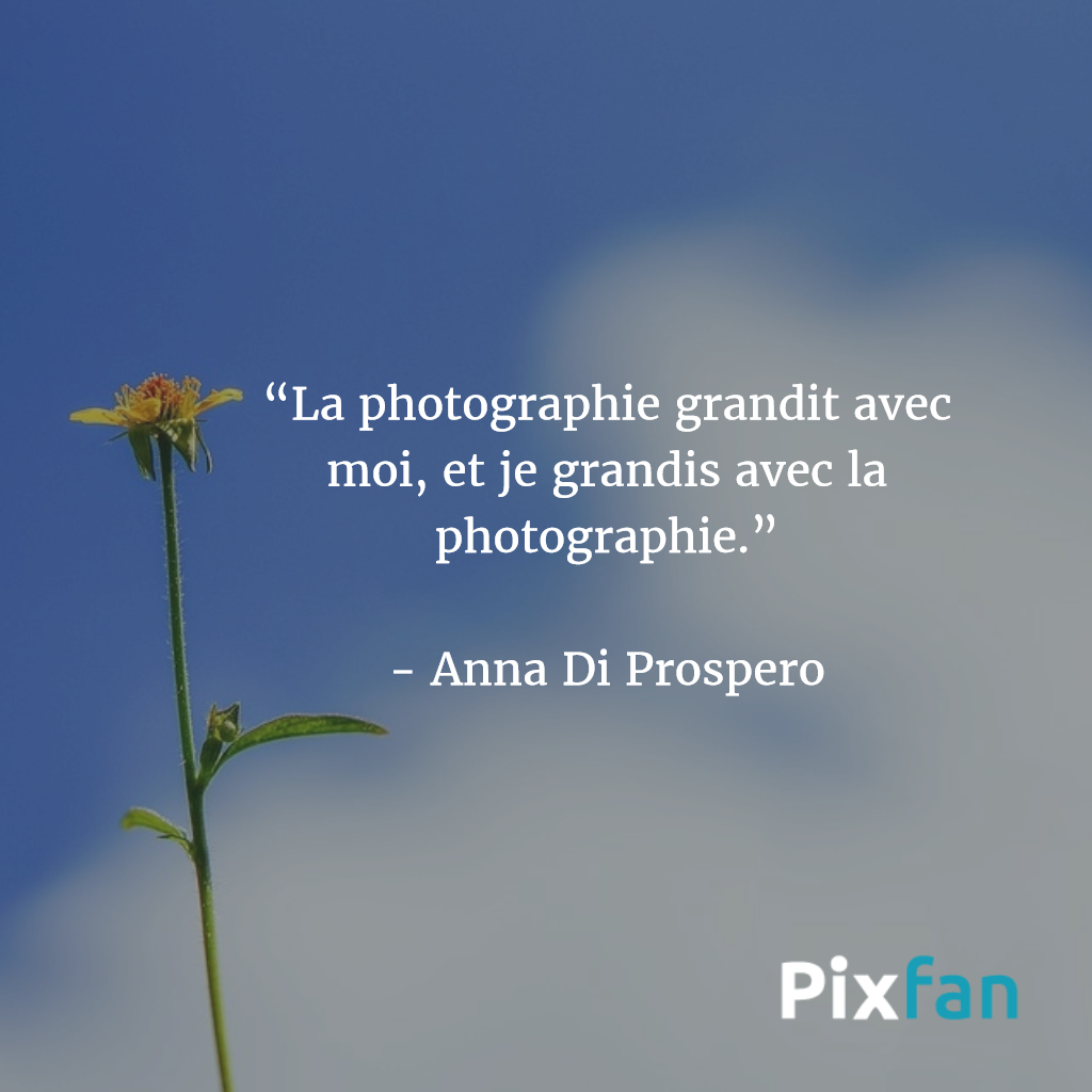 Les Plus Belles Citations Sur La Photographie