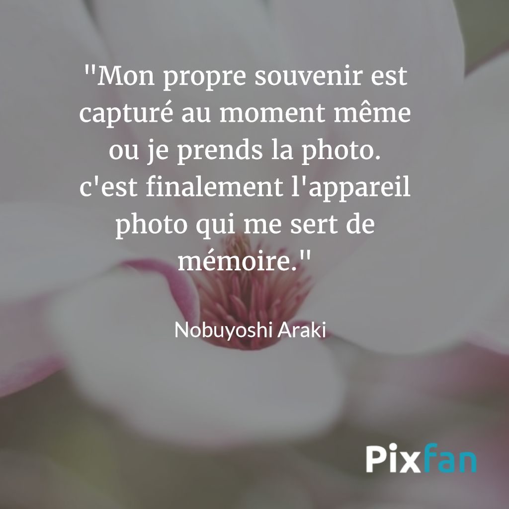 Les Plus Belles Citations Sur La Photographie