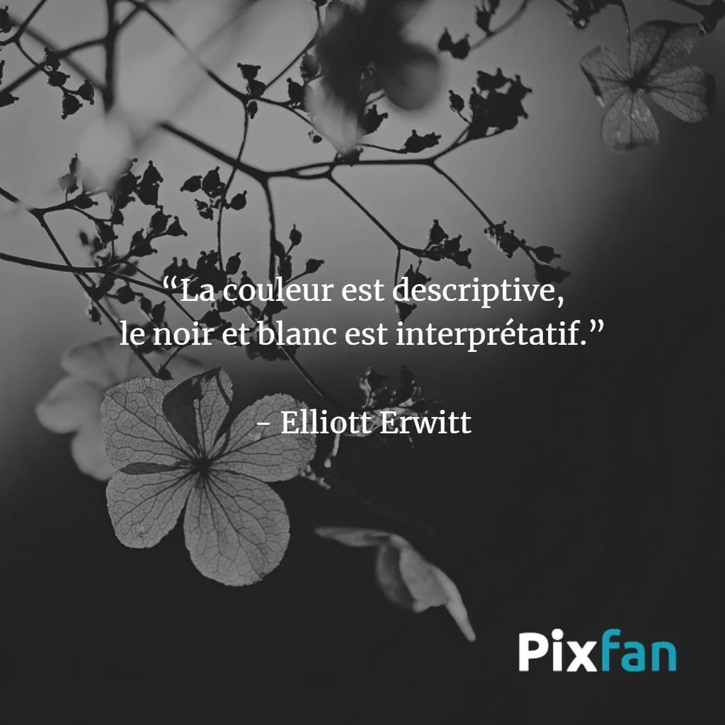 Les citations sur la photographie noir et blanc les plus inspirantes