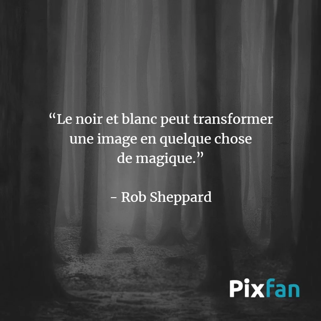 Les citations sur la photographie noir et blanc les plus inspirantes