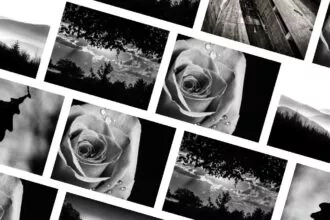 Photographie noir et blanc