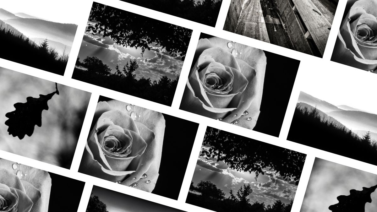 Les citations sur la photographie noir et blanc les plus inspirantes