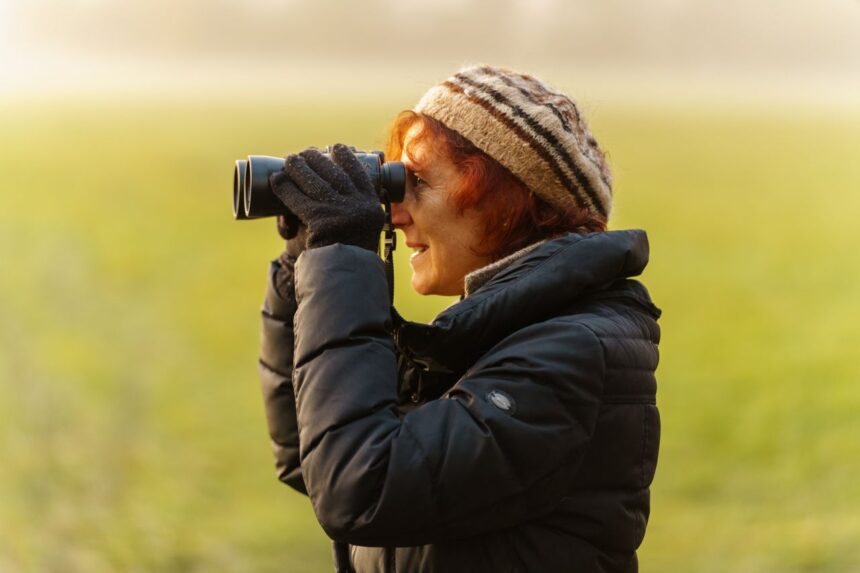 Oiseaux migrateurs en Alsace