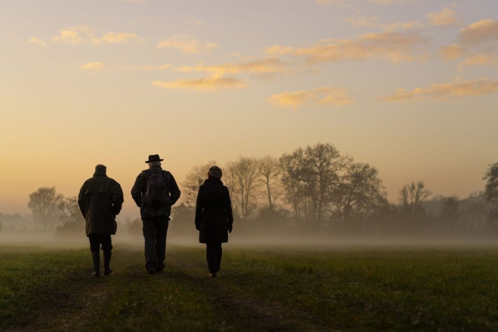 Oiseaux migrateurs en Alsace