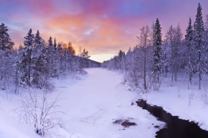 photographier dans le froid