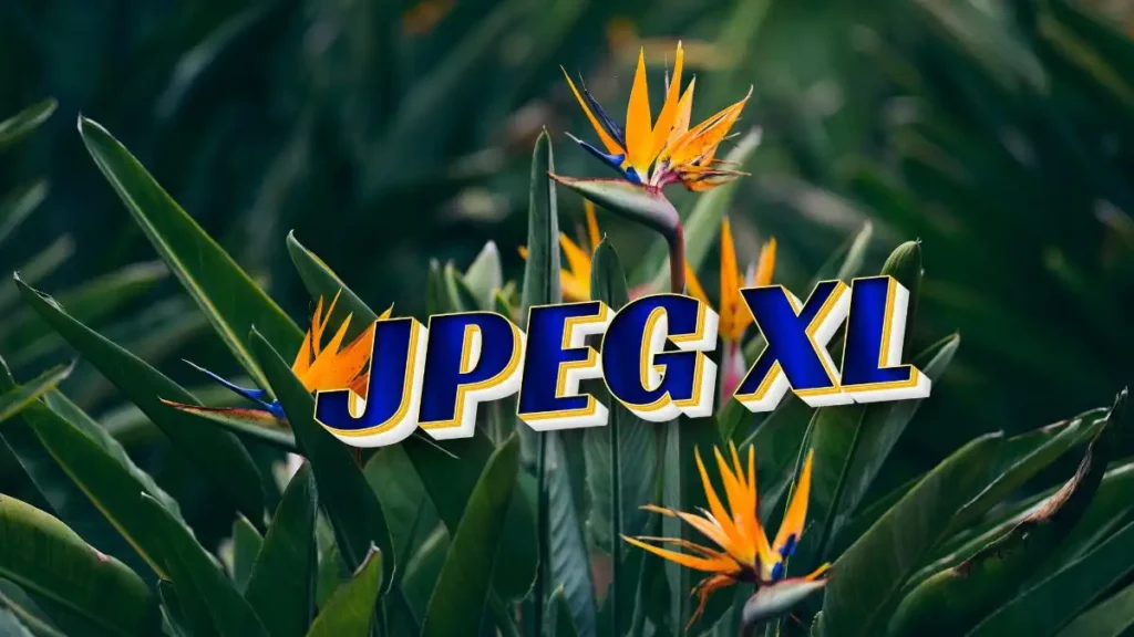 JPEG XL