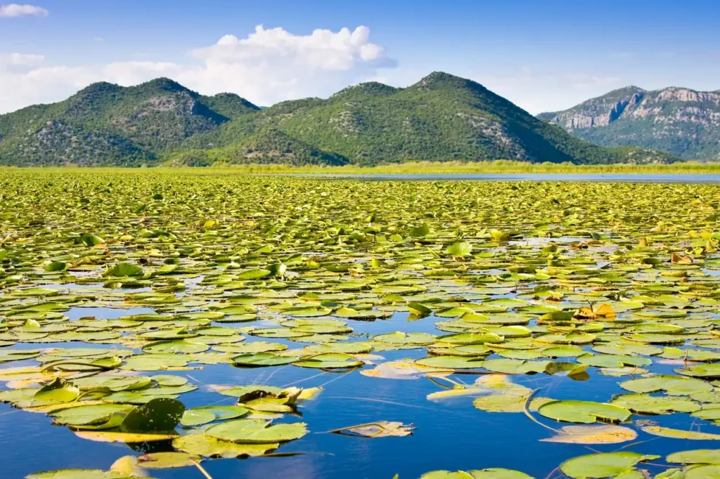 plus beaux paysages du Monténégro