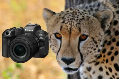 Canon R6 Mark III