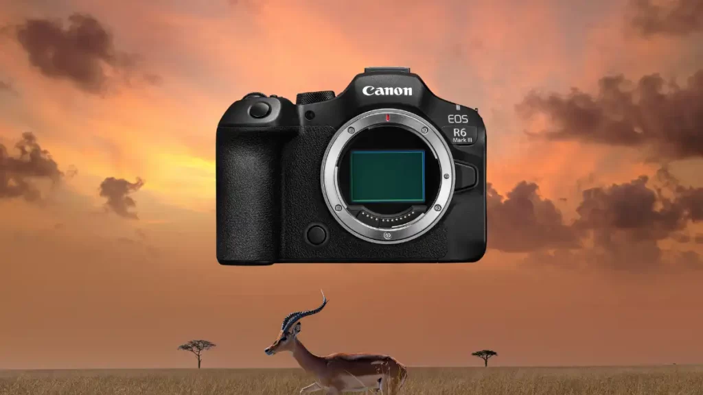 Canon R6 Mark III : Forces, Faiblesses et Retours Utilisateurs Canon R6 Mark III