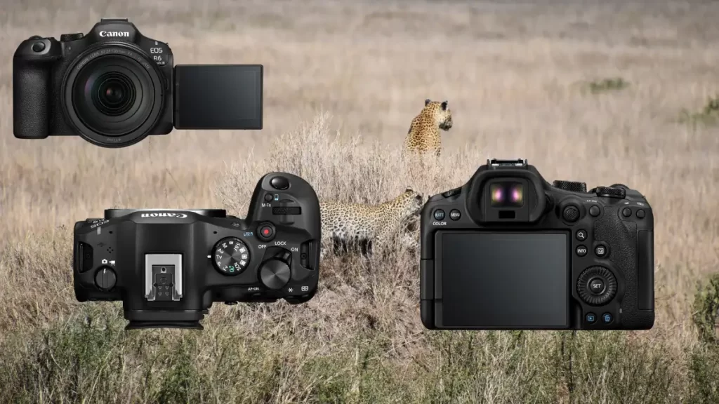 Canon R6 Mark III : Forces, Faiblesses et Retours Utilisateurs Canon R6 Mark III