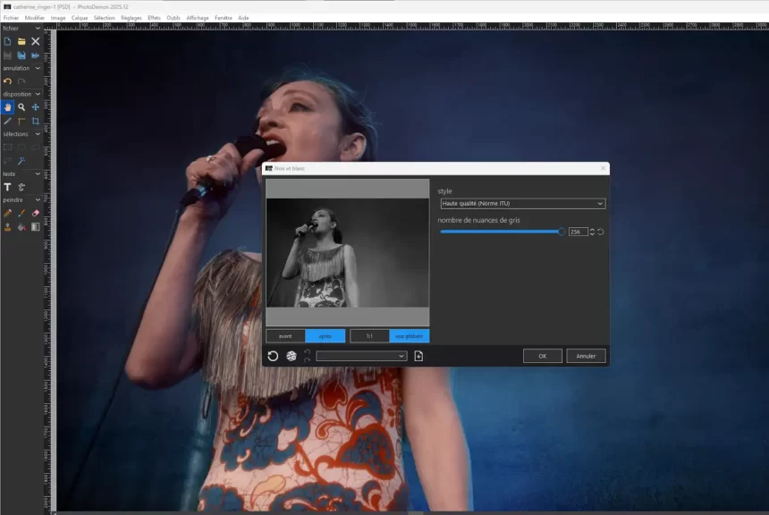 PhotoDemon : le logiciel retouche photo gratuit et portable qui défie les géants PhotoDemon